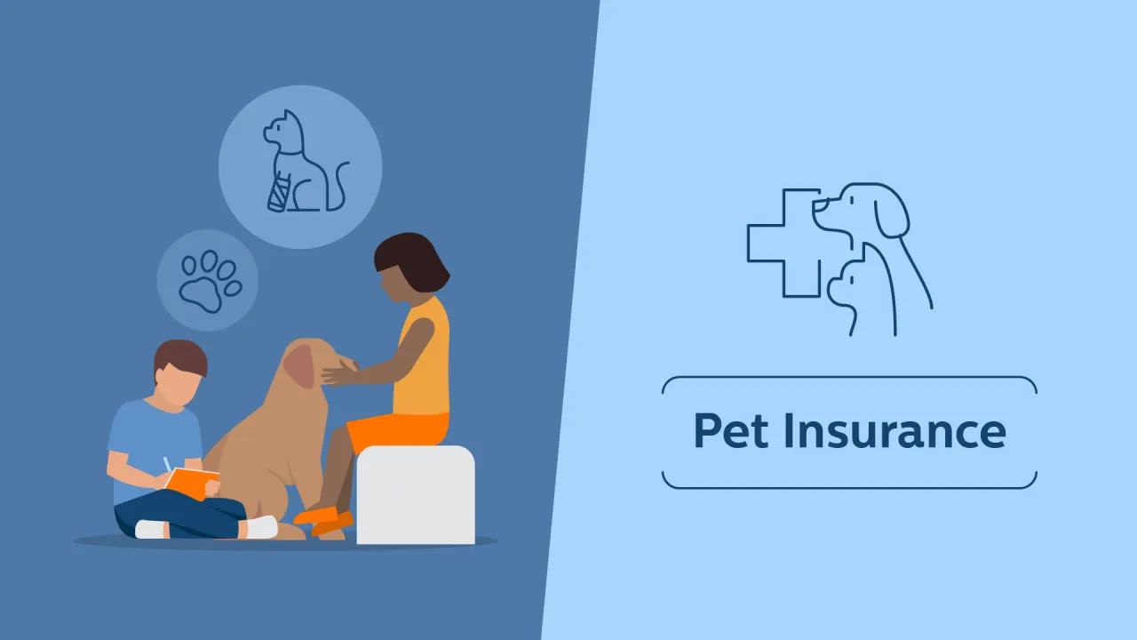 Pet Insurance video